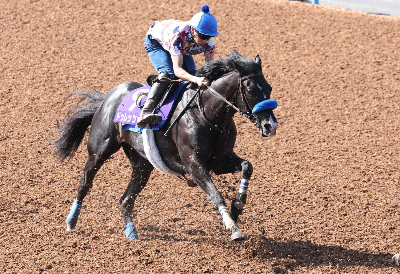 ドゥレッツァは横山武騎手を背に美浦ウッドで追い切られた（撮影・丹羽敏通）