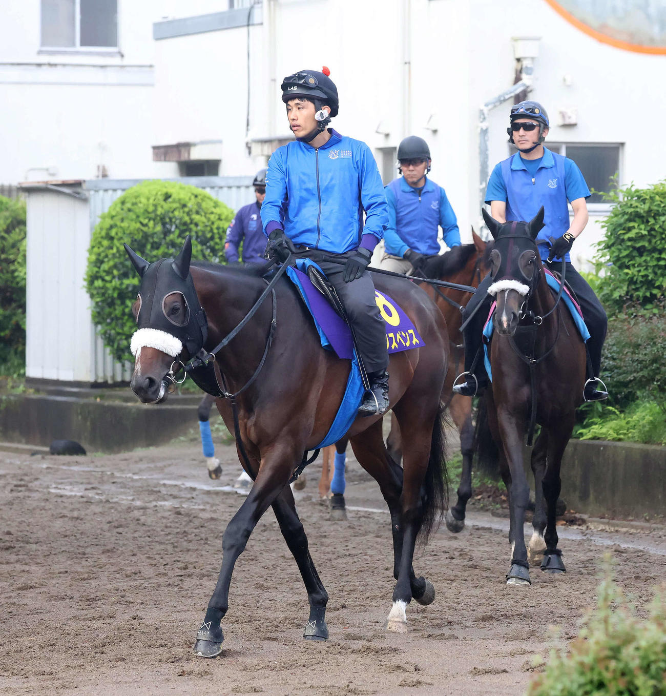 厩舎の先頭に立って馬場へ向かうシックスペンス（撮影・丹羽敏通）