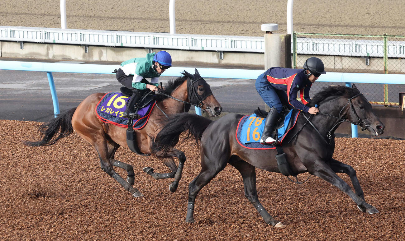 レガレイラ（左）は戸崎騎手を背に美浦ウッドでレッドヴェロシティと併せて追い切られた（撮影・丹羽敏通）