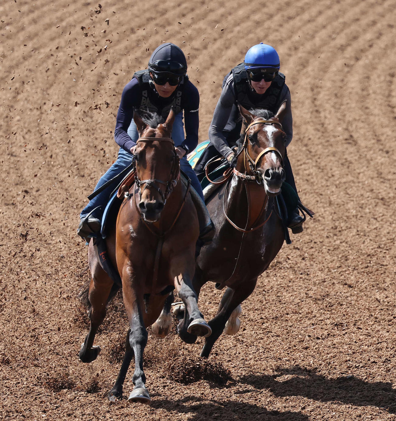 ダノンヒストリー（右）はレーン騎手を背にデビュー戦に向けテイデと併せて追い切られた（撮影・丹羽敏通）