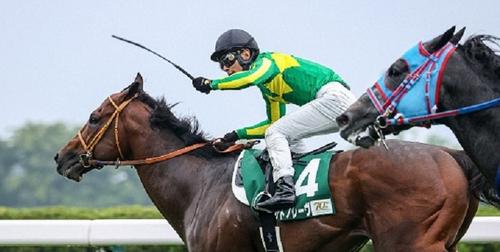 函館スプリントステークスを制したサトノレーヴ=2024年6月9日