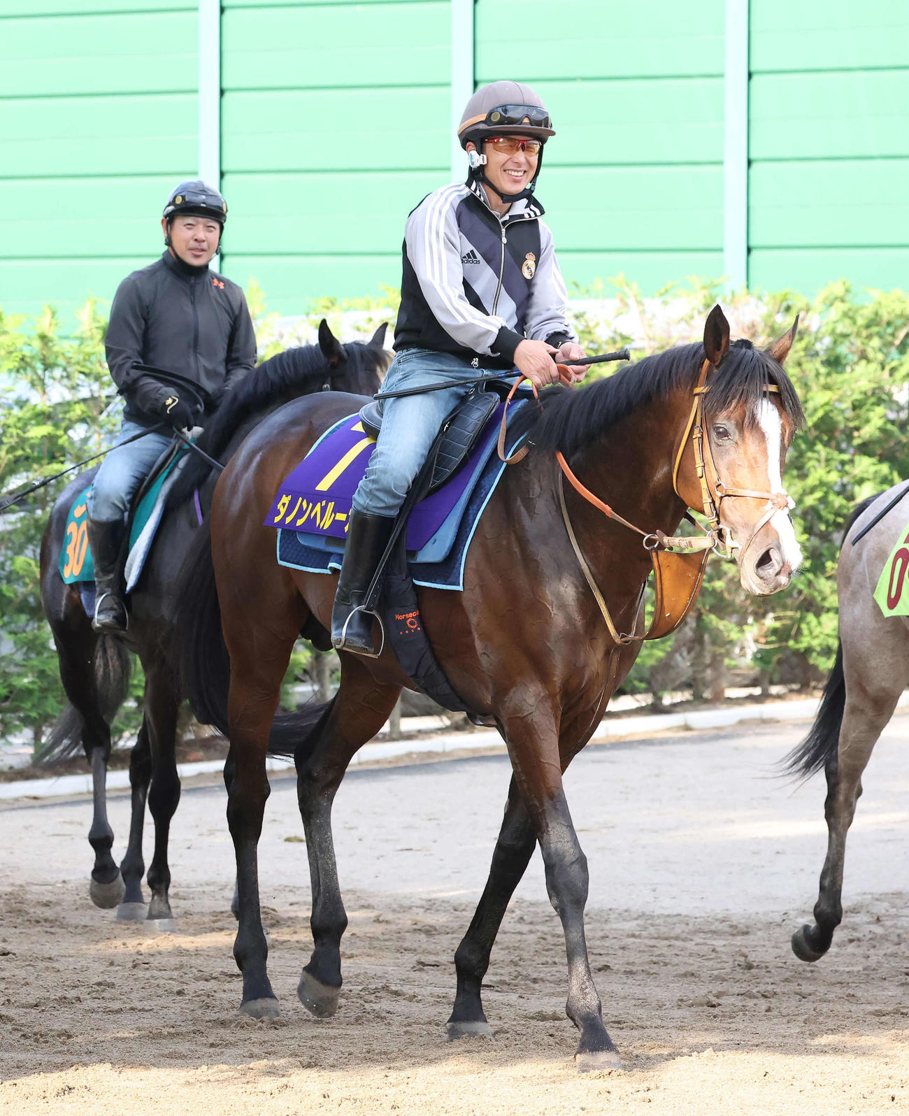 調教を終えて馬場を出るダノンベルーガ（撮影・丹羽敏通）