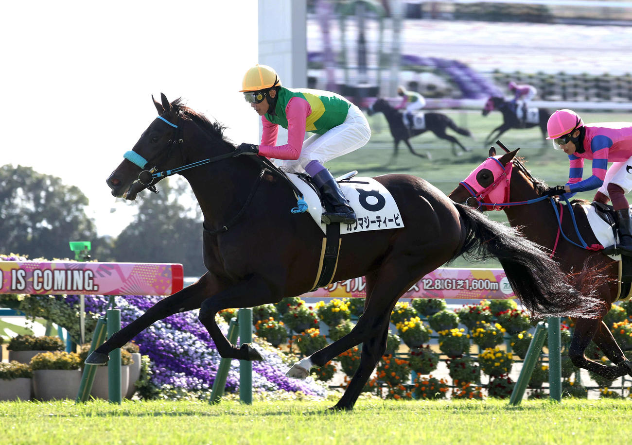 京都5R新馬戦を快勝したガンマジーティーピ（2024年12月7日撮影）