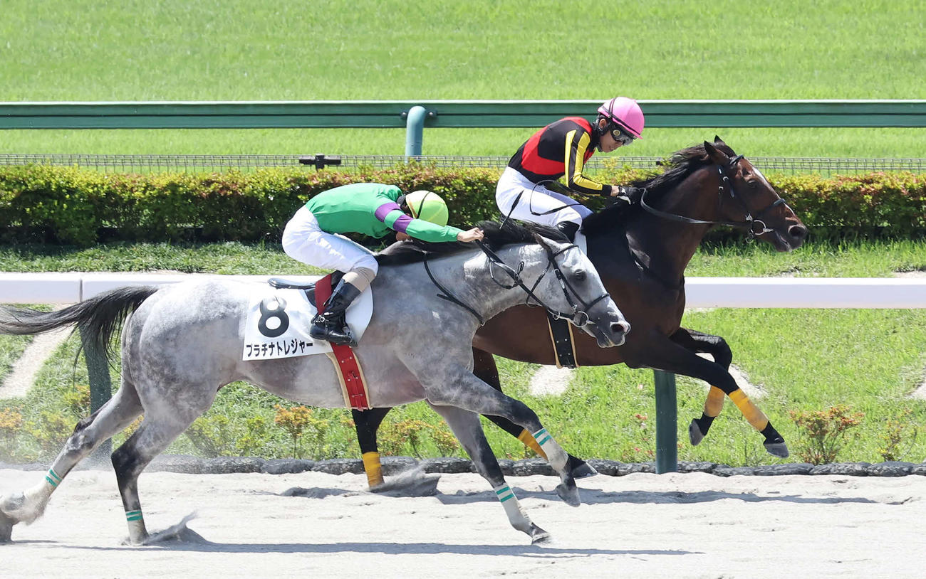 東京1R、障害3歳上未勝利戦を制したジオフロントと鷲頭騎手（奥）（撮影・丹羽敏通）