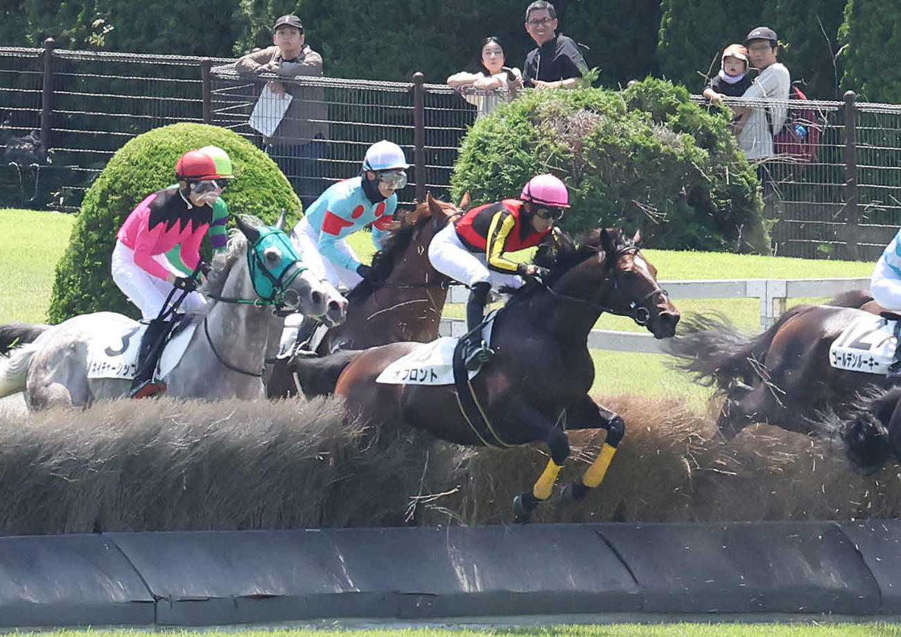 東京1R、障害3歳上未勝利戦を制したジオフロントと鷲頭騎手（中央）（撮影・丹羽敏通）