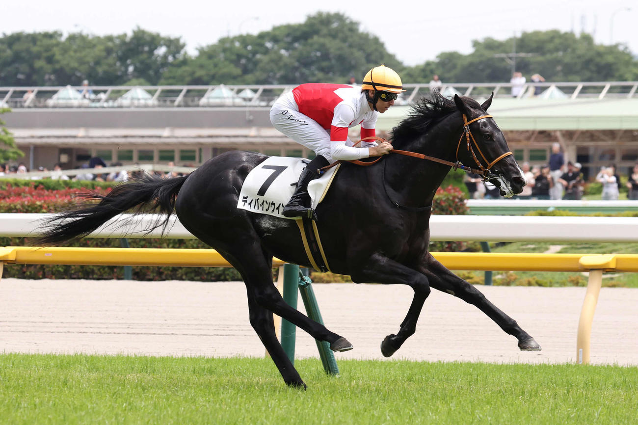 東京5R、2歳新馬戦を制したディバインウインドとレーン騎手（撮影・丹羽敏通）