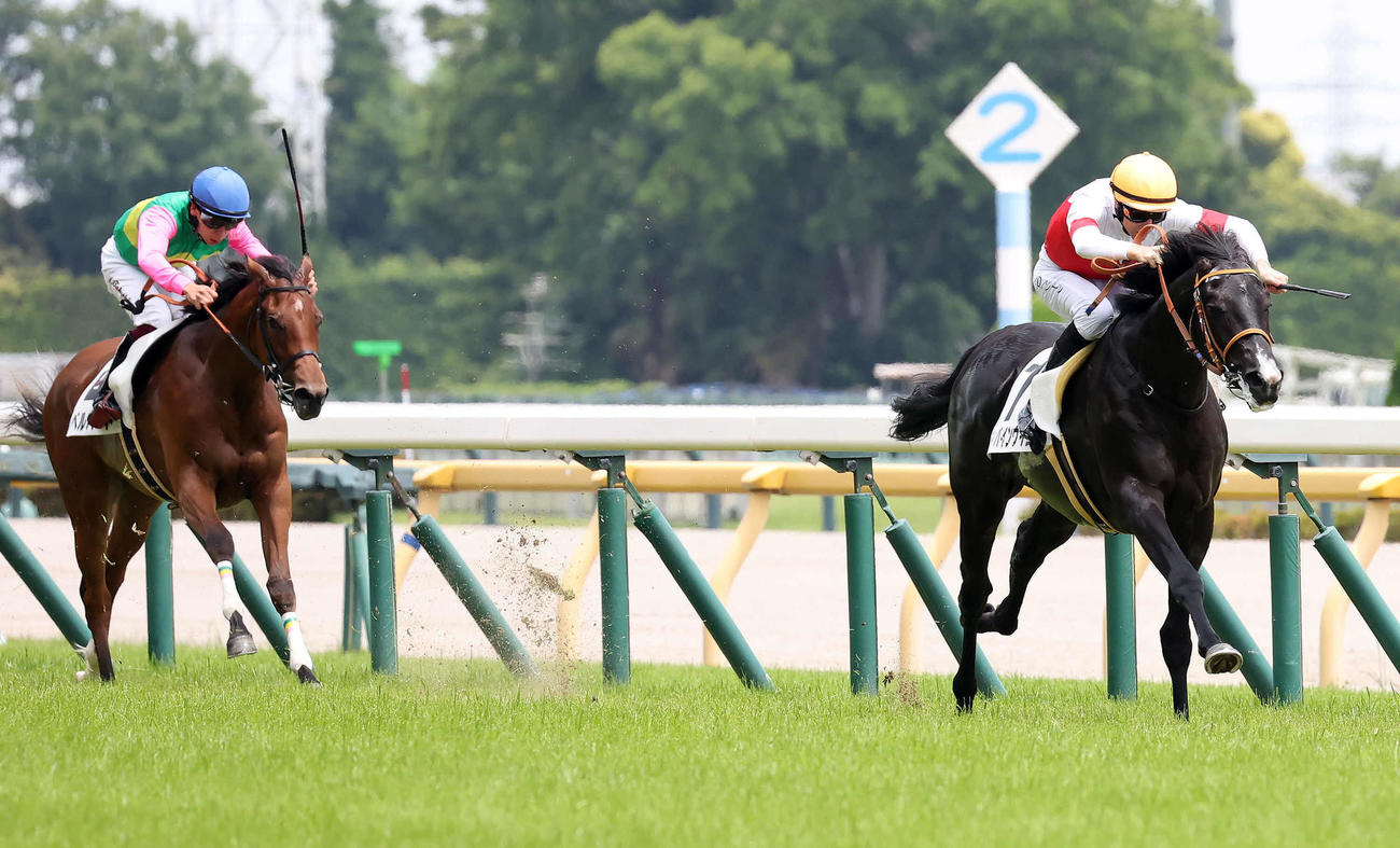 東京5R、2歳新馬戦を制したディバインウインドとレーン騎手（右）。左は3着ベルバード（撮影・丹羽敏通）