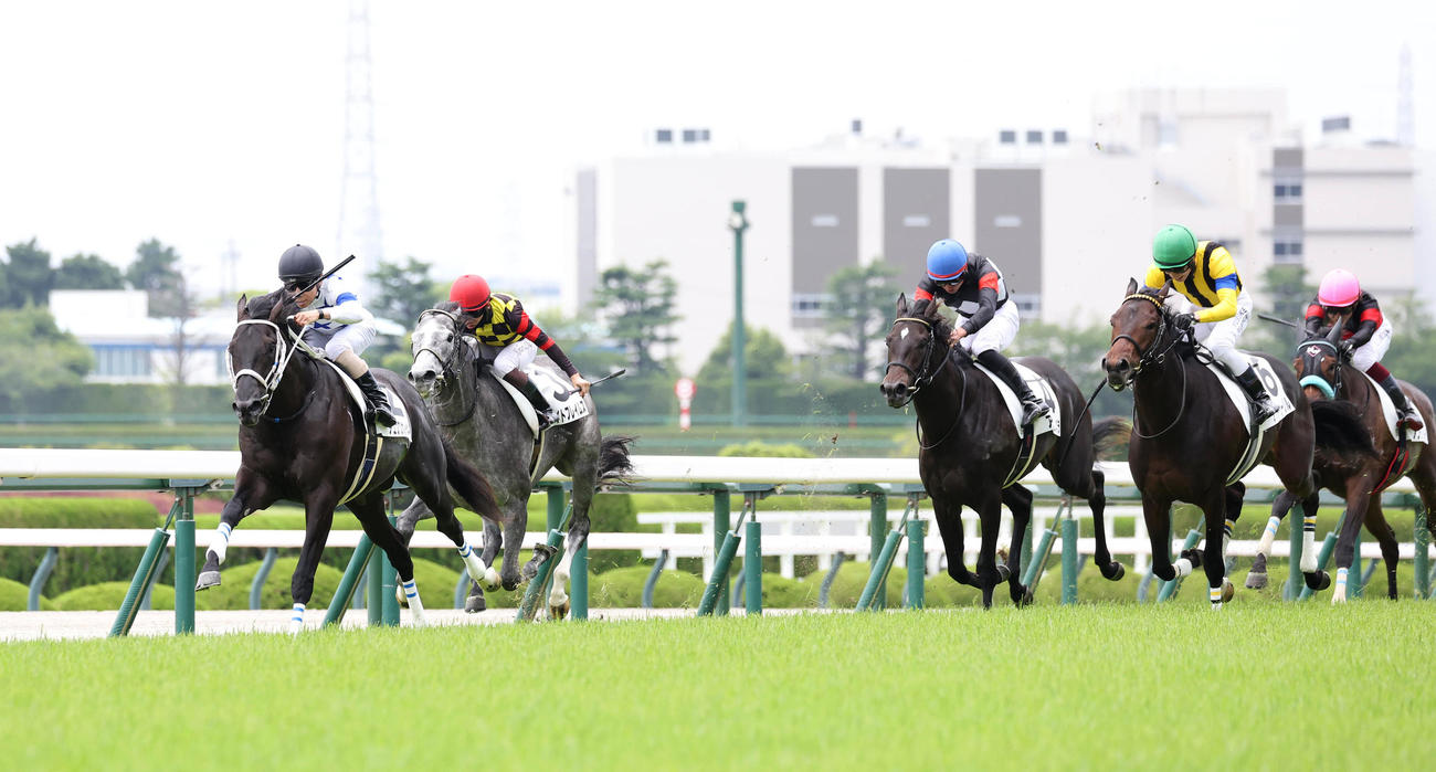 阪神5R、逃げ切って新馬戦を制したチュウワカーネギー（左）（撮影・白石智彦）