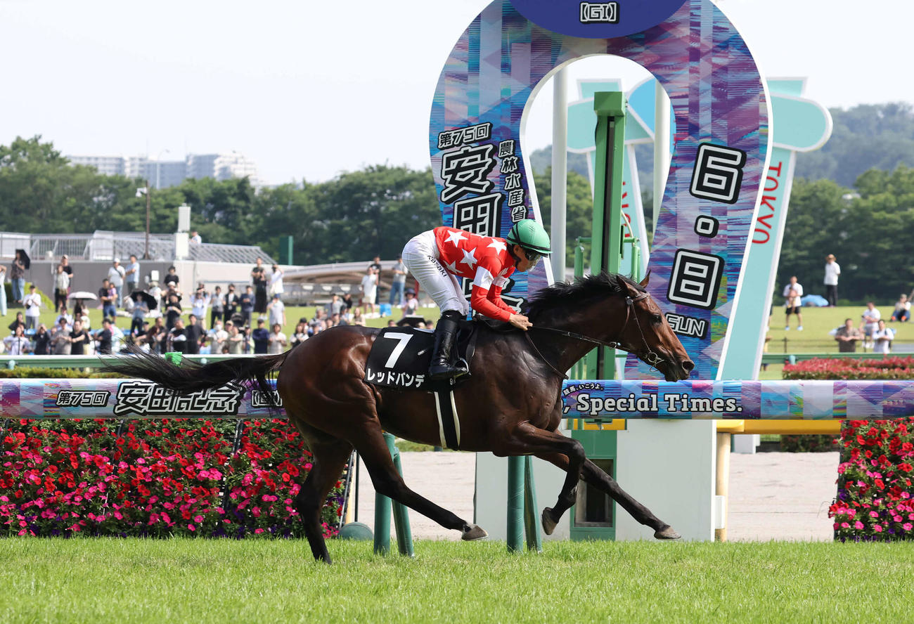 稲城特別を制したレッドバンデと佐々木騎手（撮影・丹羽敏通）