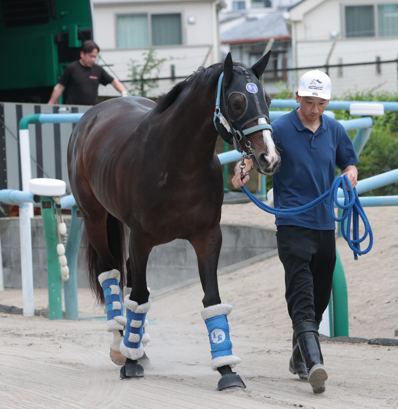 東京競馬場に到着したソウルラッシュ（撮影・柴田隆二）