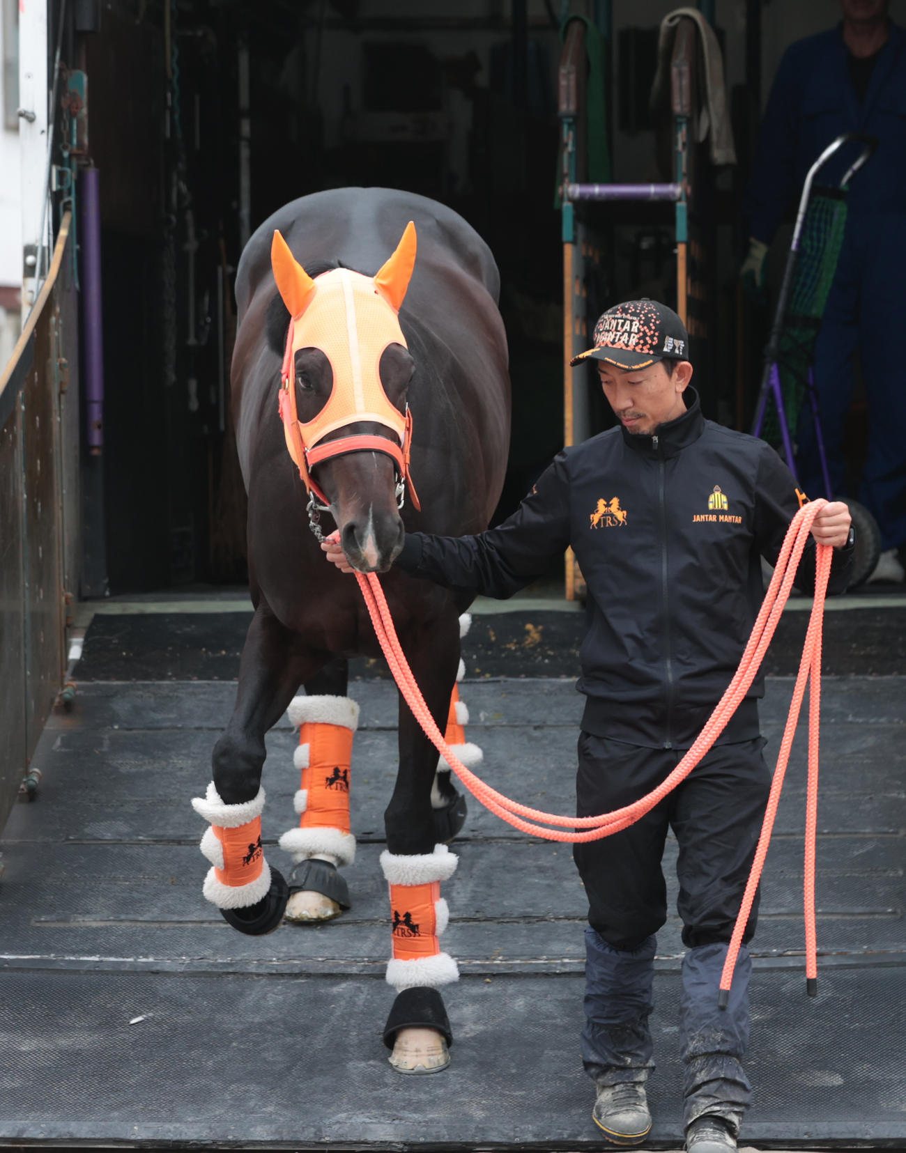 東京競馬場に到着したジャンタルマンタル（撮影・柴田隆二）