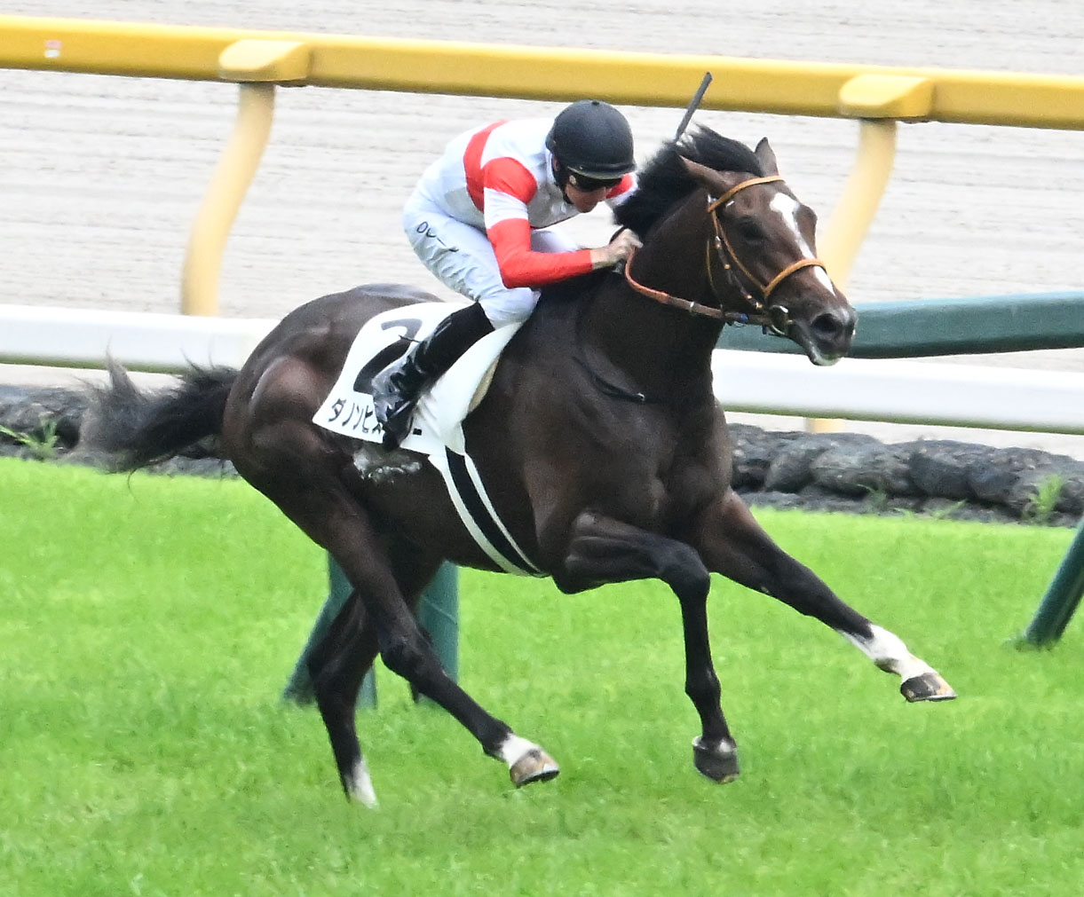 東京5R新馬戦を制したダノンヒストリーとレーン騎手（撮影・千葉一成）