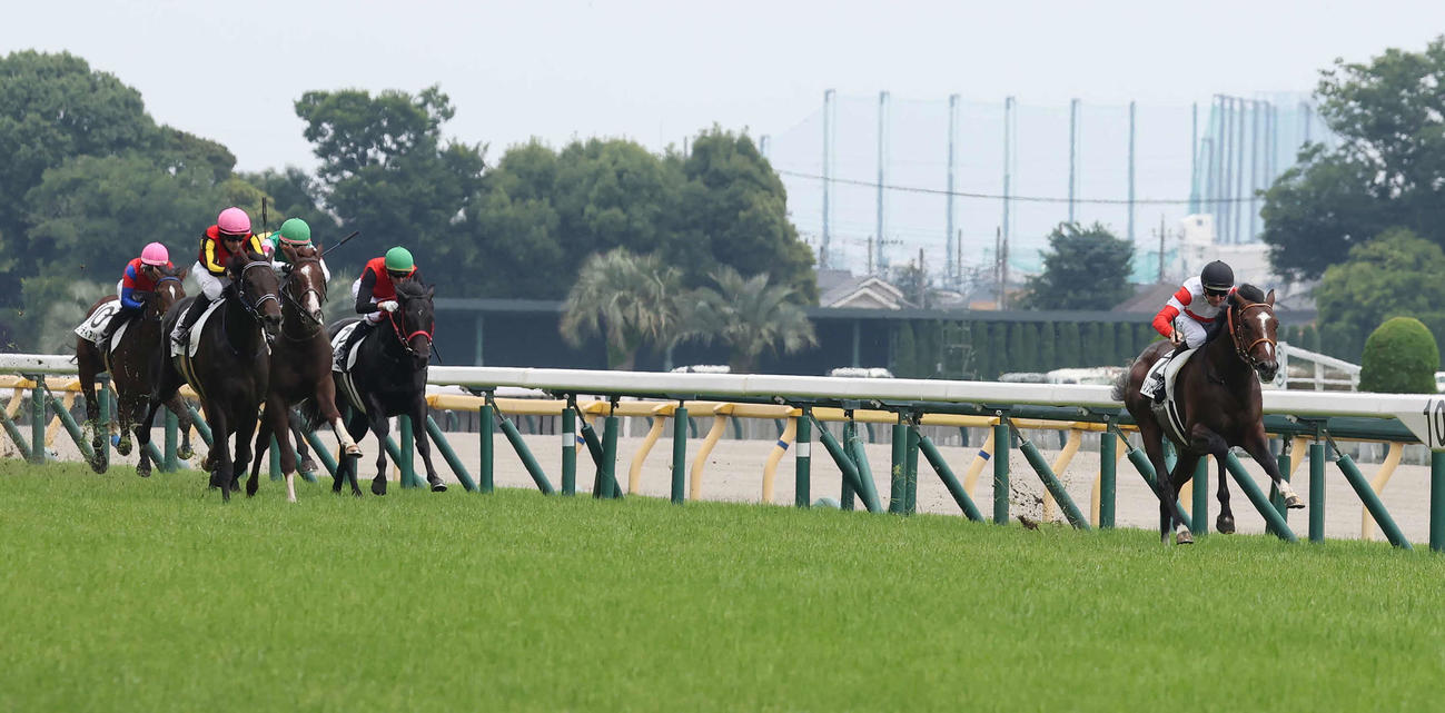 東京5R新馬戦を制したダノンヒストリーとレーン騎手（右）（撮影・丹羽敏通）