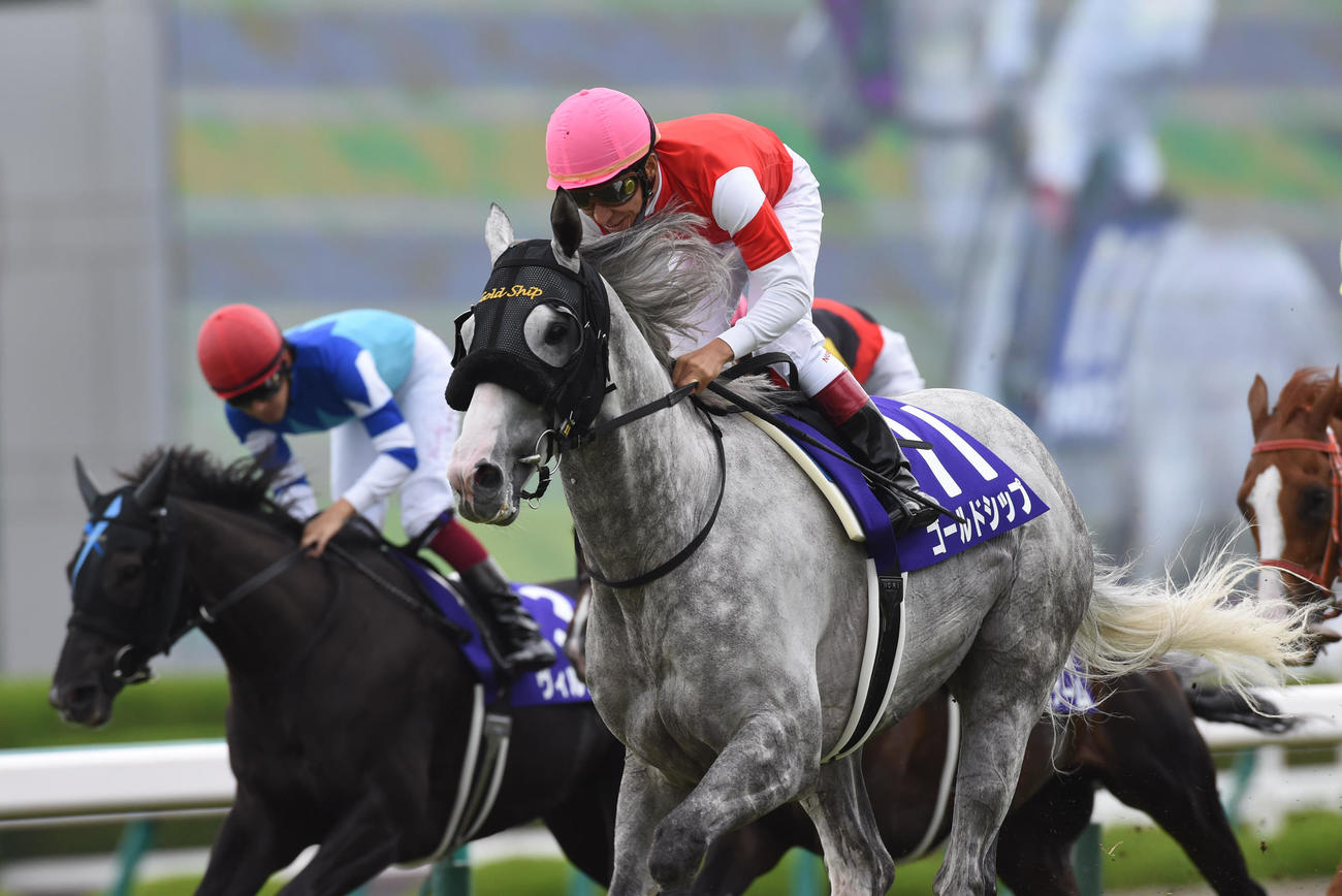 ゴールドシップ 宝塚記念 - メルカリ 現地単勝馬券 現地単勝馬券&amp 