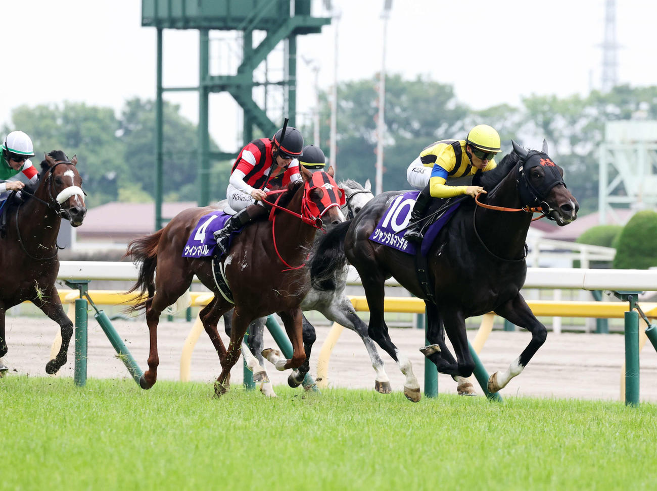 安田記念を制したジャンタルマンタル（右）と川田騎手（撮影・鈴木正人）