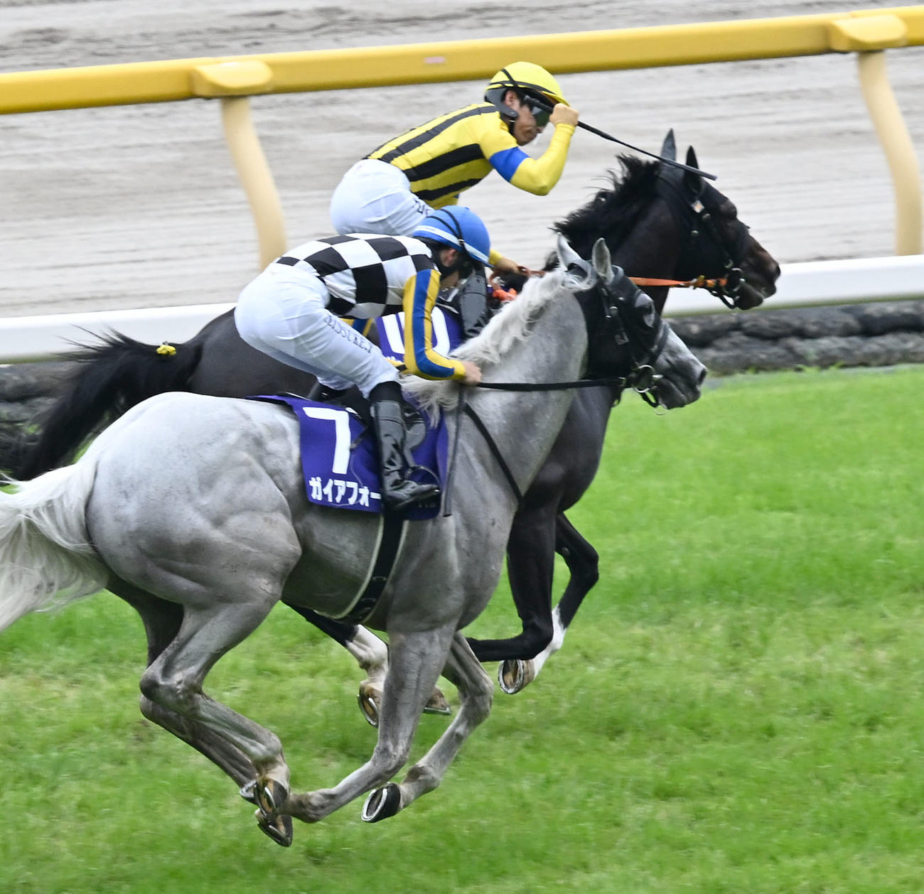 安田記念2着のガイアフォースと吉村騎手（手前）奥は勝ったジャンタルマンタル（撮影・千葉一成）　