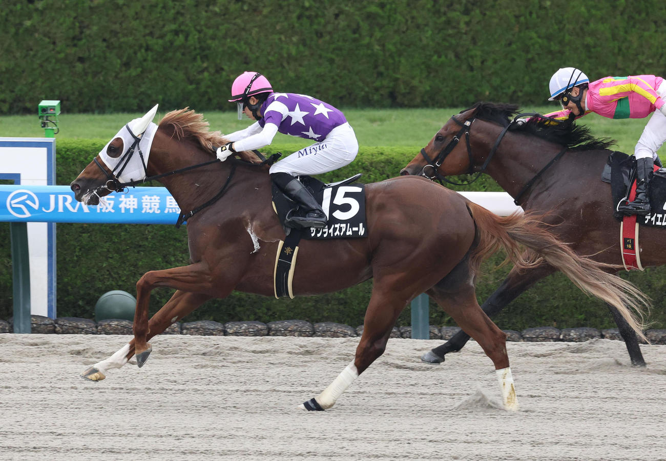 阪神11R、テイエムトッキュウを差し切って水無月Sを制したサンライズアムール（撮影・白石智彦）