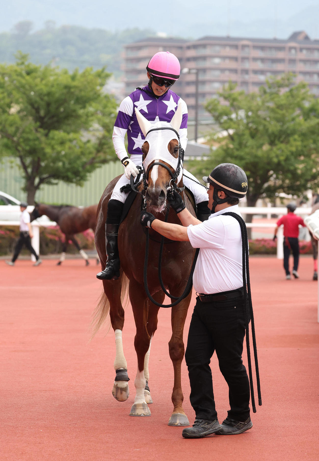 阪神11R、水無月Sを制したサンライズアムール（撮影・白石智彦）