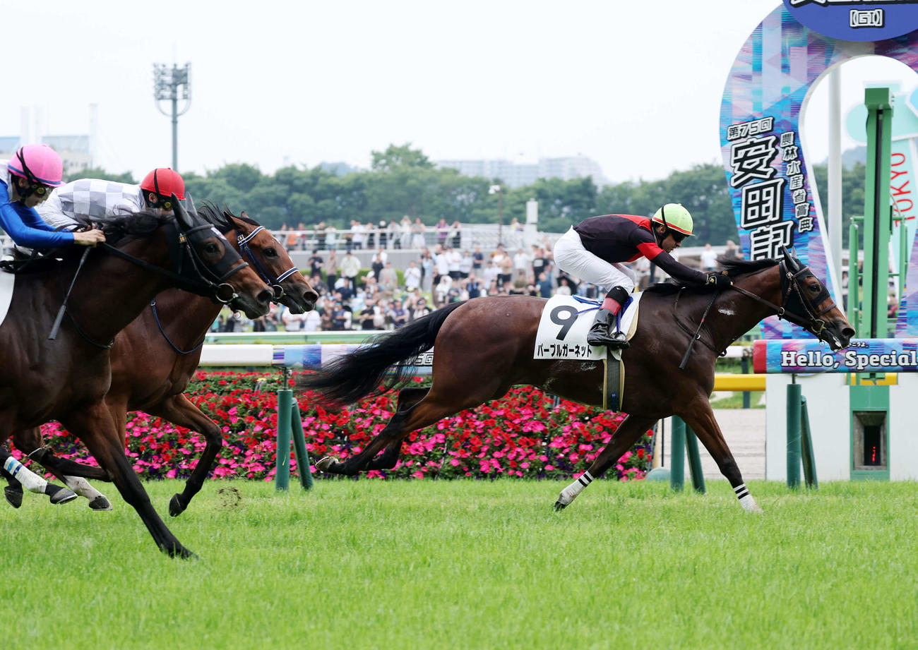 東京6R、新馬戦を制したパープルガーネット（右）とルメール騎手（撮影・鈴木正人）