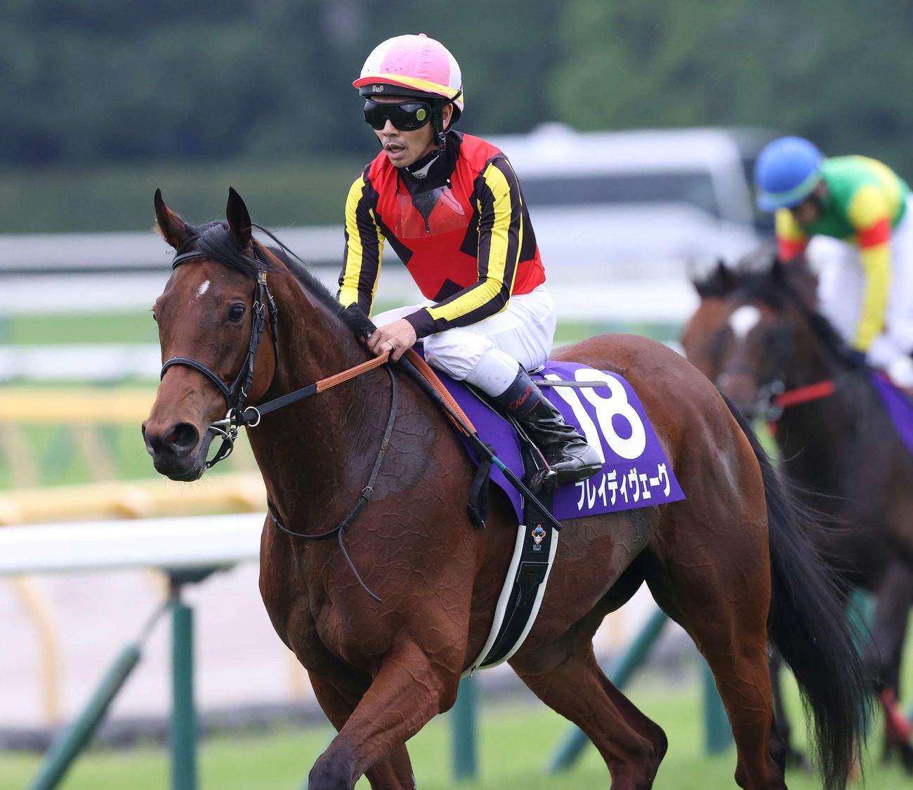 東京11R、安田記念で4着に敗れたブレイディヴェーグと戸崎騎手（撮影・丹羽敏通）