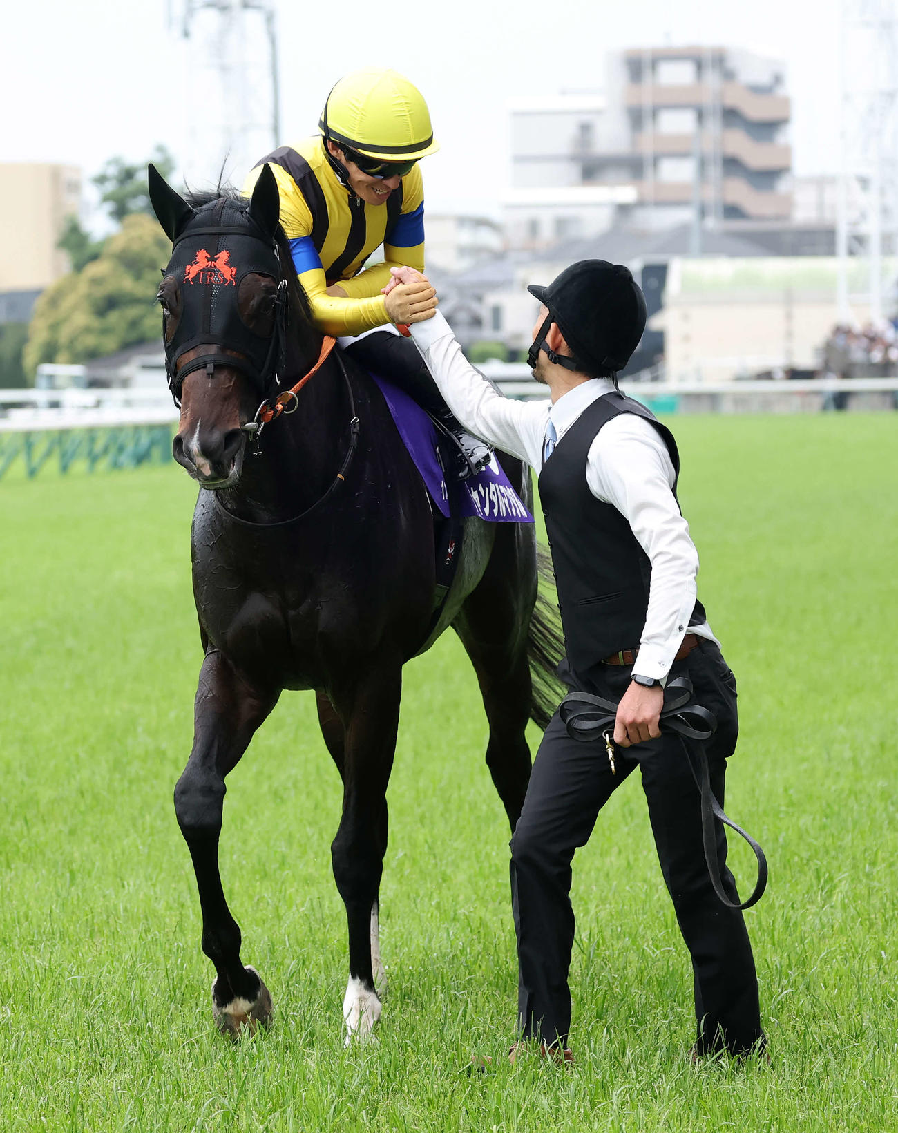 ジャンタルマンタルで安田記念を制した川田騎手は関係者と握手（撮影・鈴木正人）