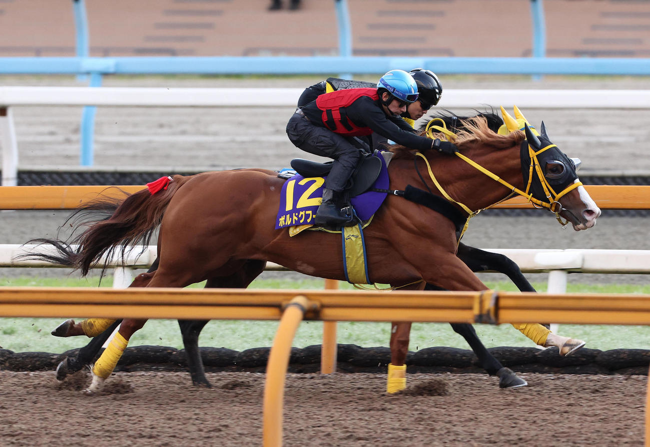 4日、内田騎手を背にCウッドを併せ馬で追い切るボルドグフーシュ