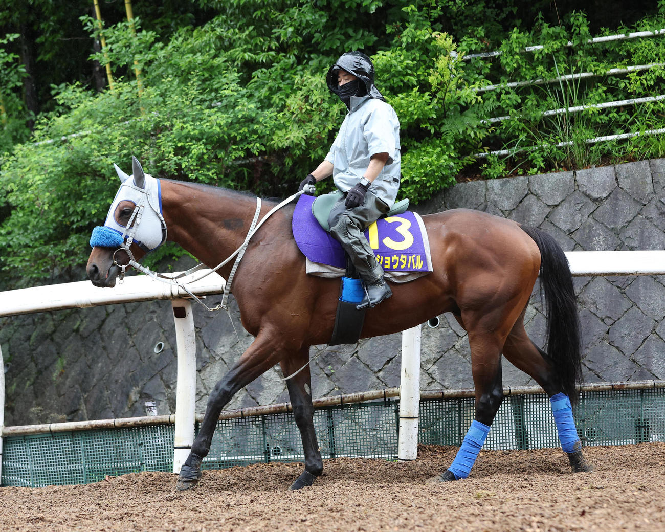 逍遥馬道で運動するメイショウタバル（撮影・白石智彦）