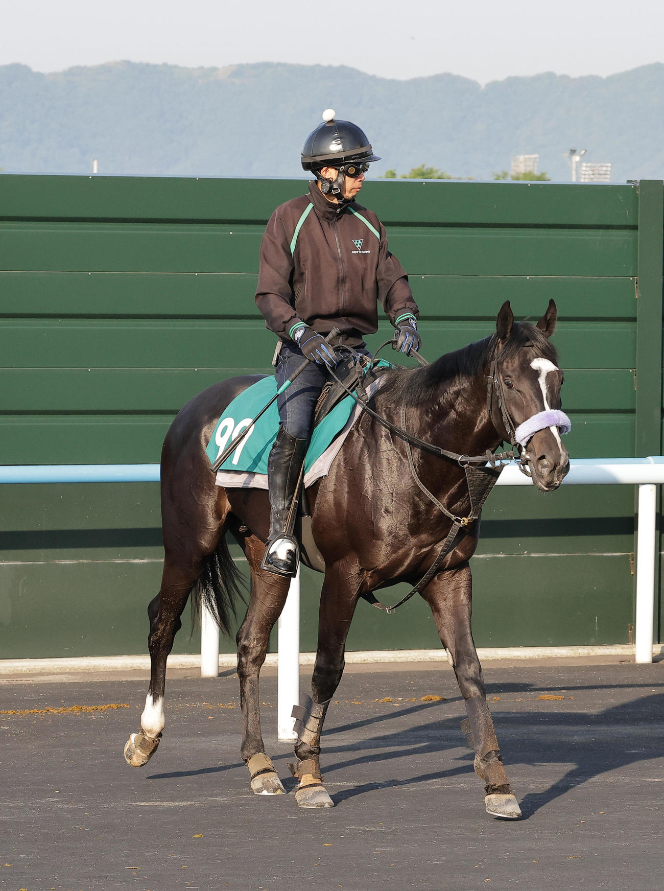 函館競馬場で調整するアニマレイ