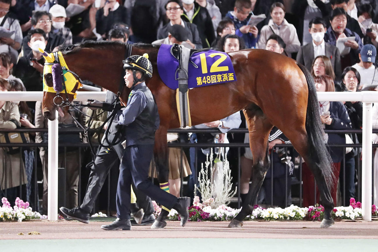 東京ダービーに門別から参戦するウィルオレオール（C）東京シティ競馬