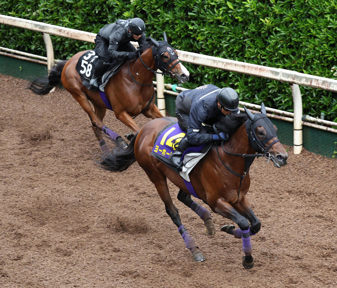 坂路をグティ（左）と併せ馬で追い切るヨーホーレイク（撮影・白石智彦）