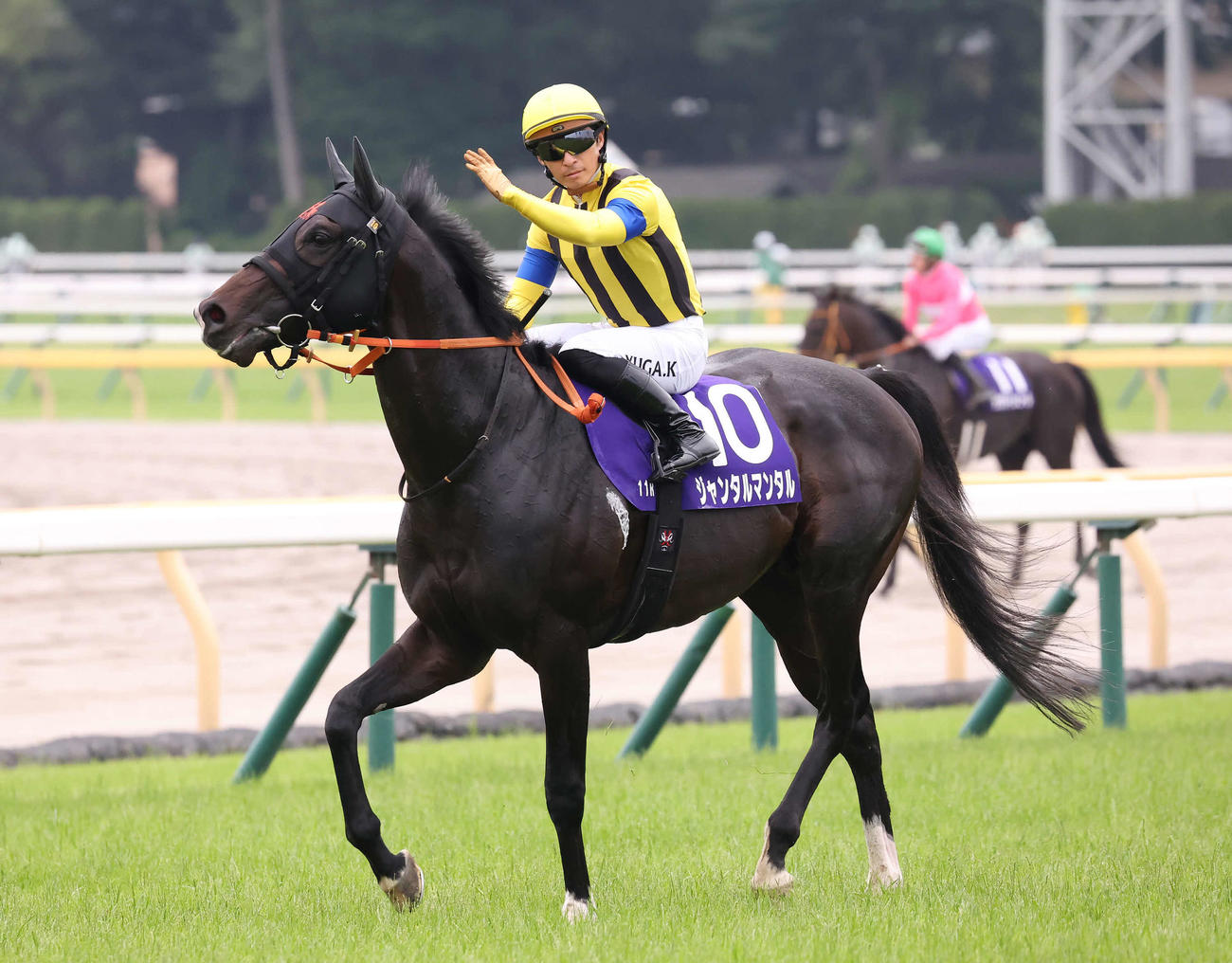 安田記念VジャンタルマンタルがフランスのマイルG1・2レースに登録