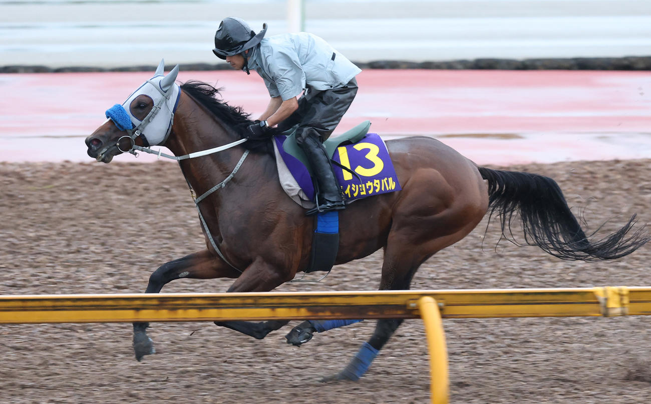CWコースで追い切るメイショウタバル