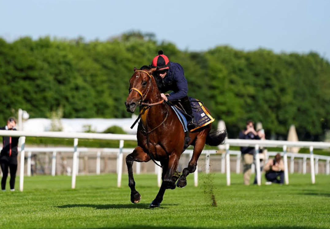 ムーア騎手を背にニューマーケット競馬場ジュライコースで追い切るサトノレーヴ（C）Ascot　Racecourse