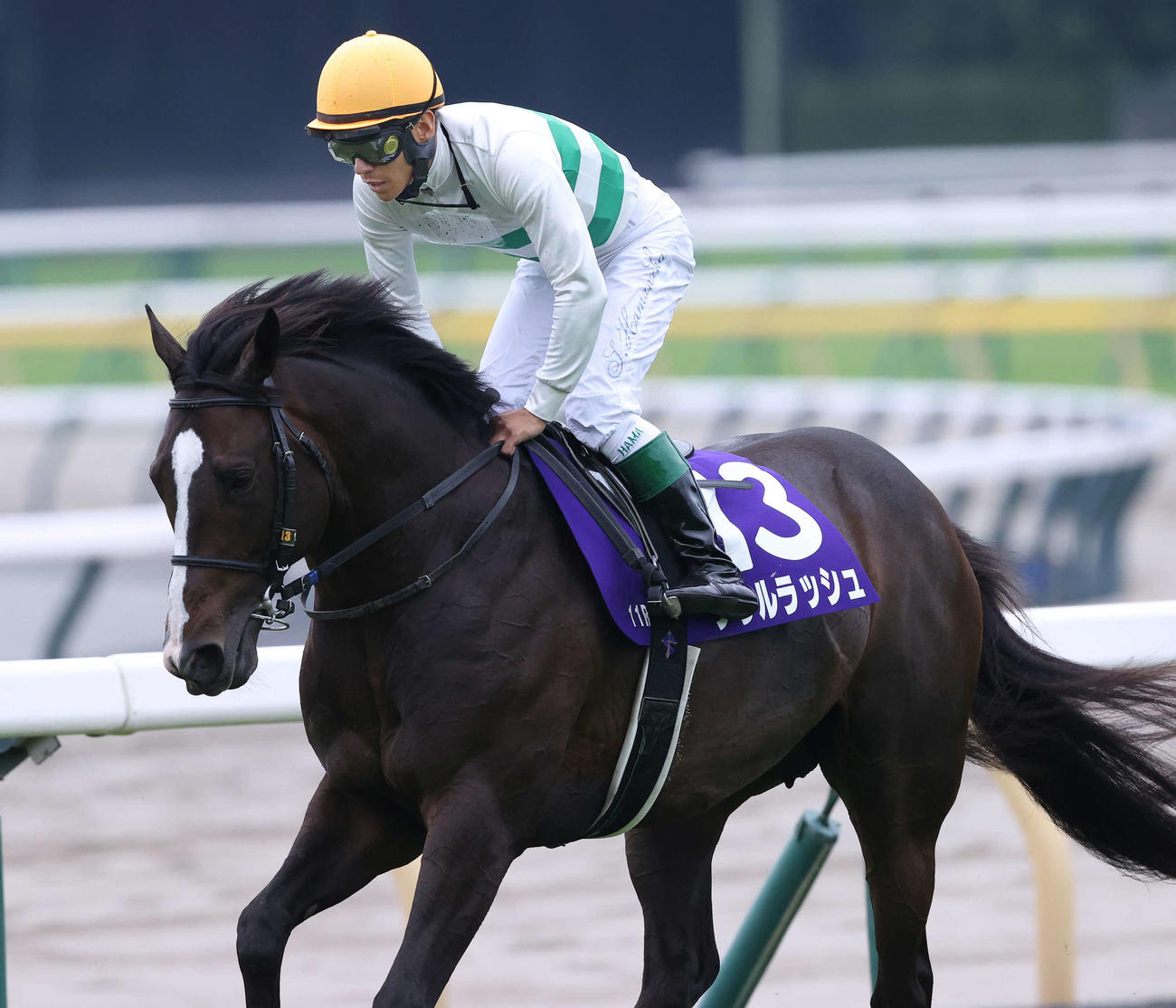 安田記念で3着に敗れたソウルラッシュ（2025年6月8日撮影）