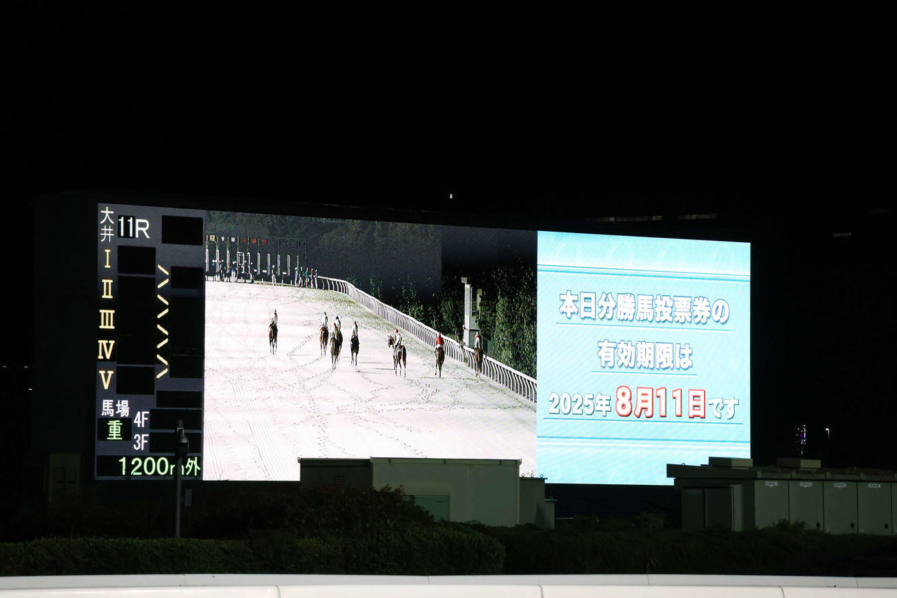 大井11Rでカンパイ（発走やり直し）があり、ゲートに戻っていく出走馬たち（撮影・牛山基康）