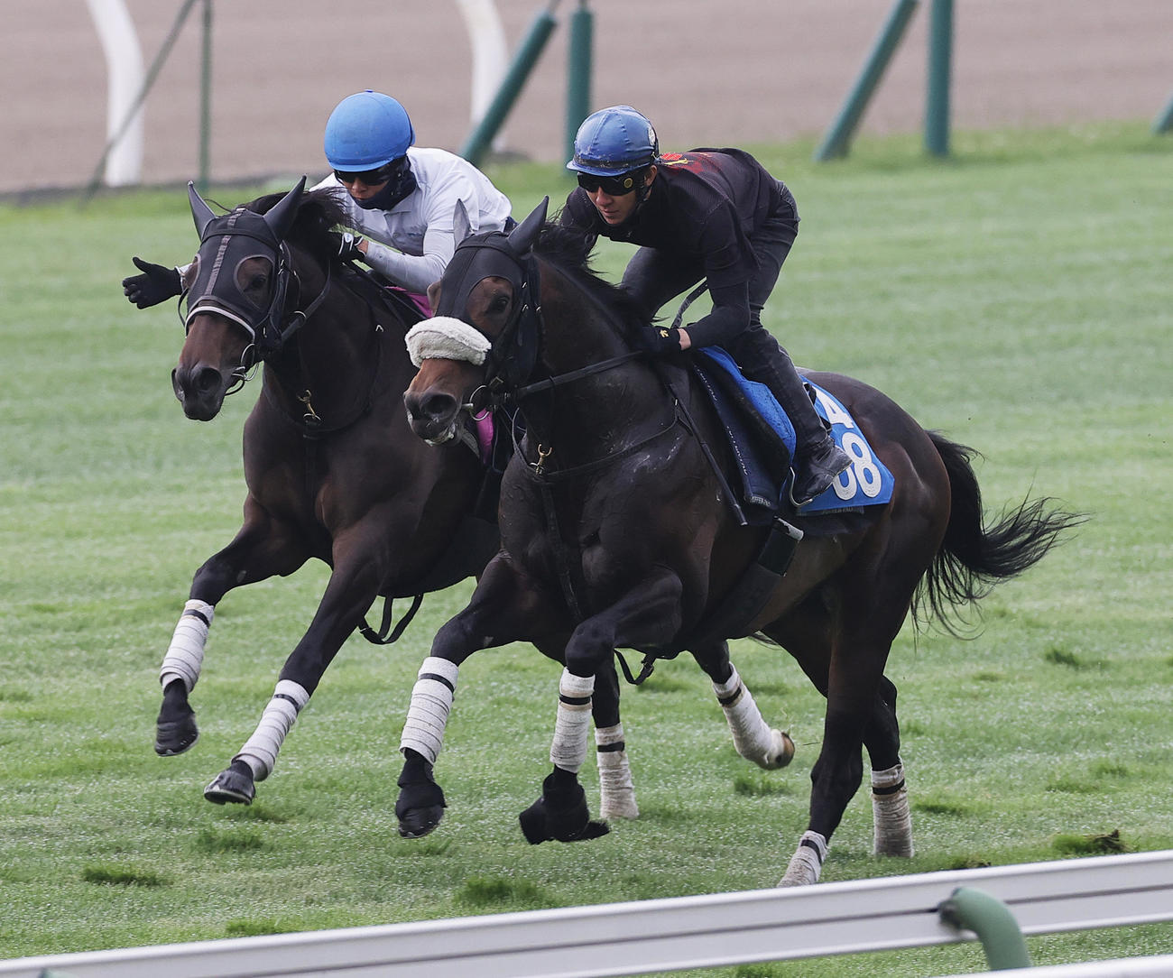 11日、丹内祐次騎手を背に函館芝コースで最終追い切りを行うドンアミティエ（右）