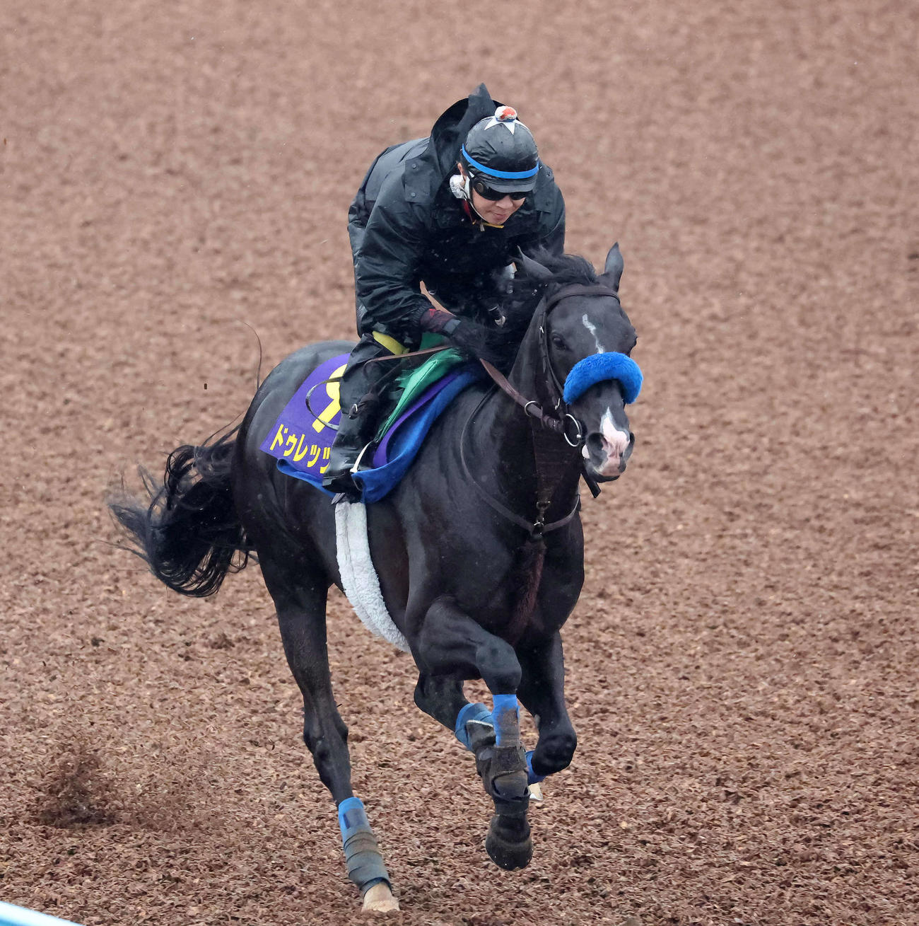 11日、ドゥレッツァは美浦ウッドを単走で追い切られた