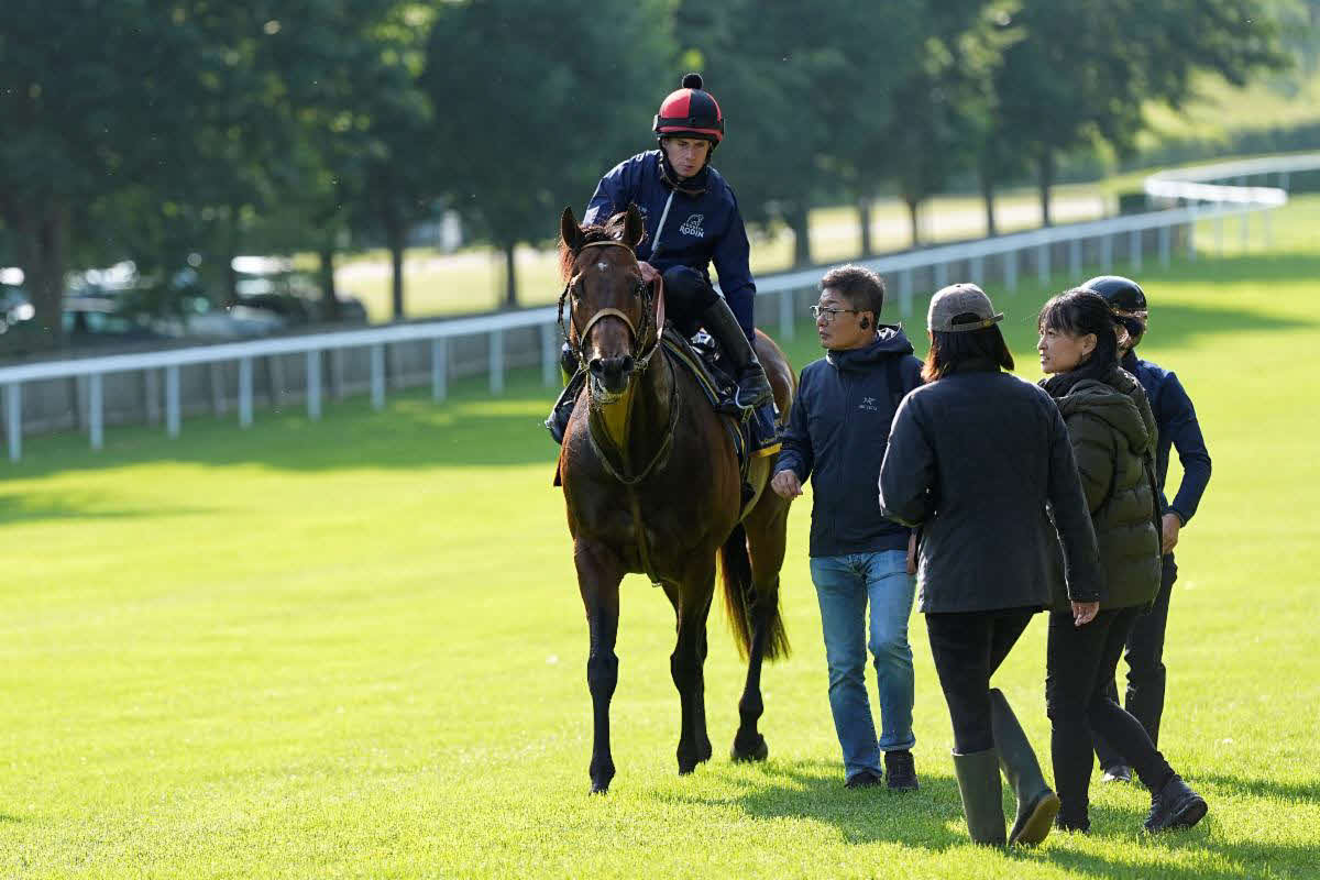ムーア騎手を背に追い切ったサトノレーヴ（C）Ascot　Racecourse，John　Hoy