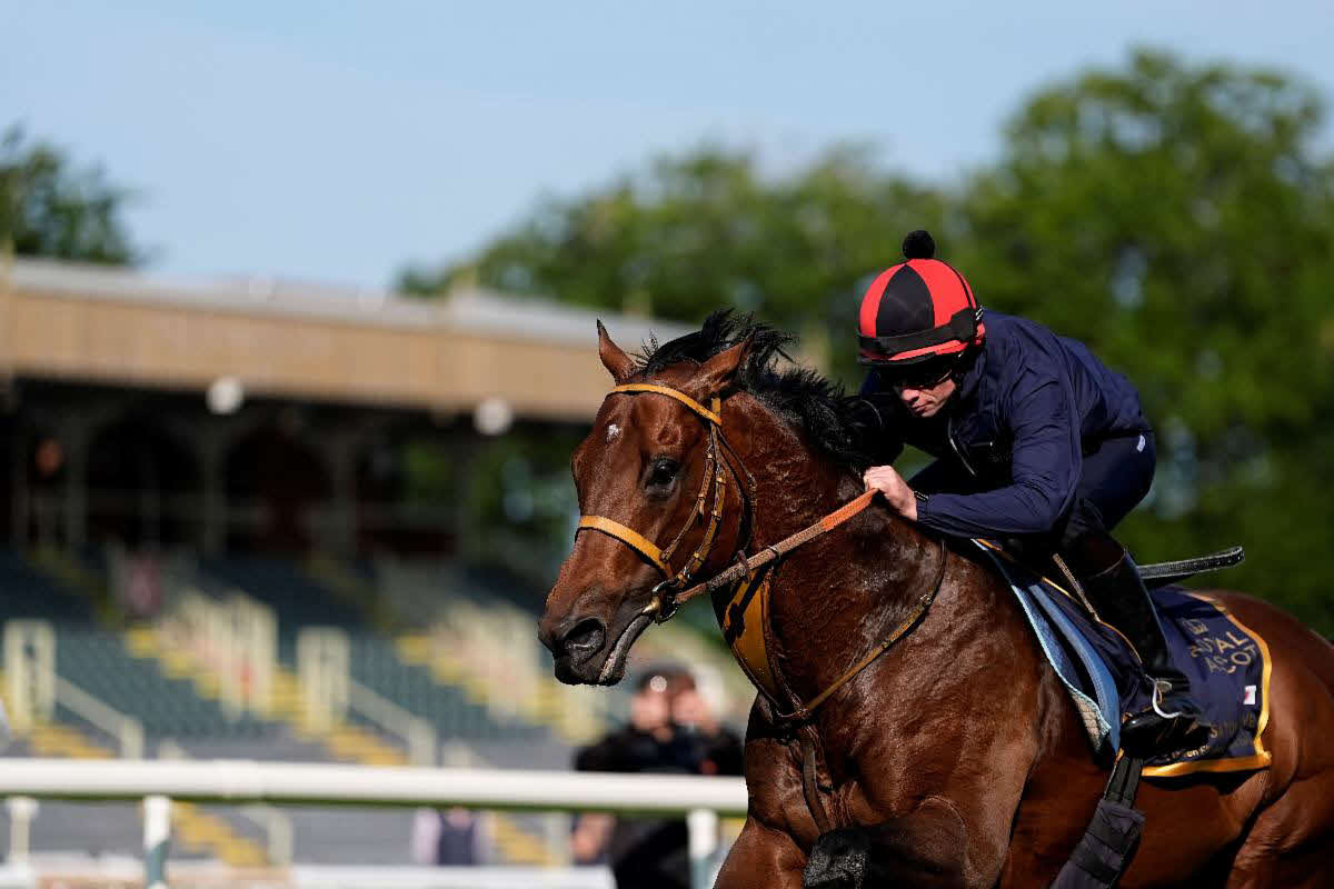 ムーア騎手を背に追い切ったサトノレーヴ（C）Ascot　Racecourse，John　Hoy