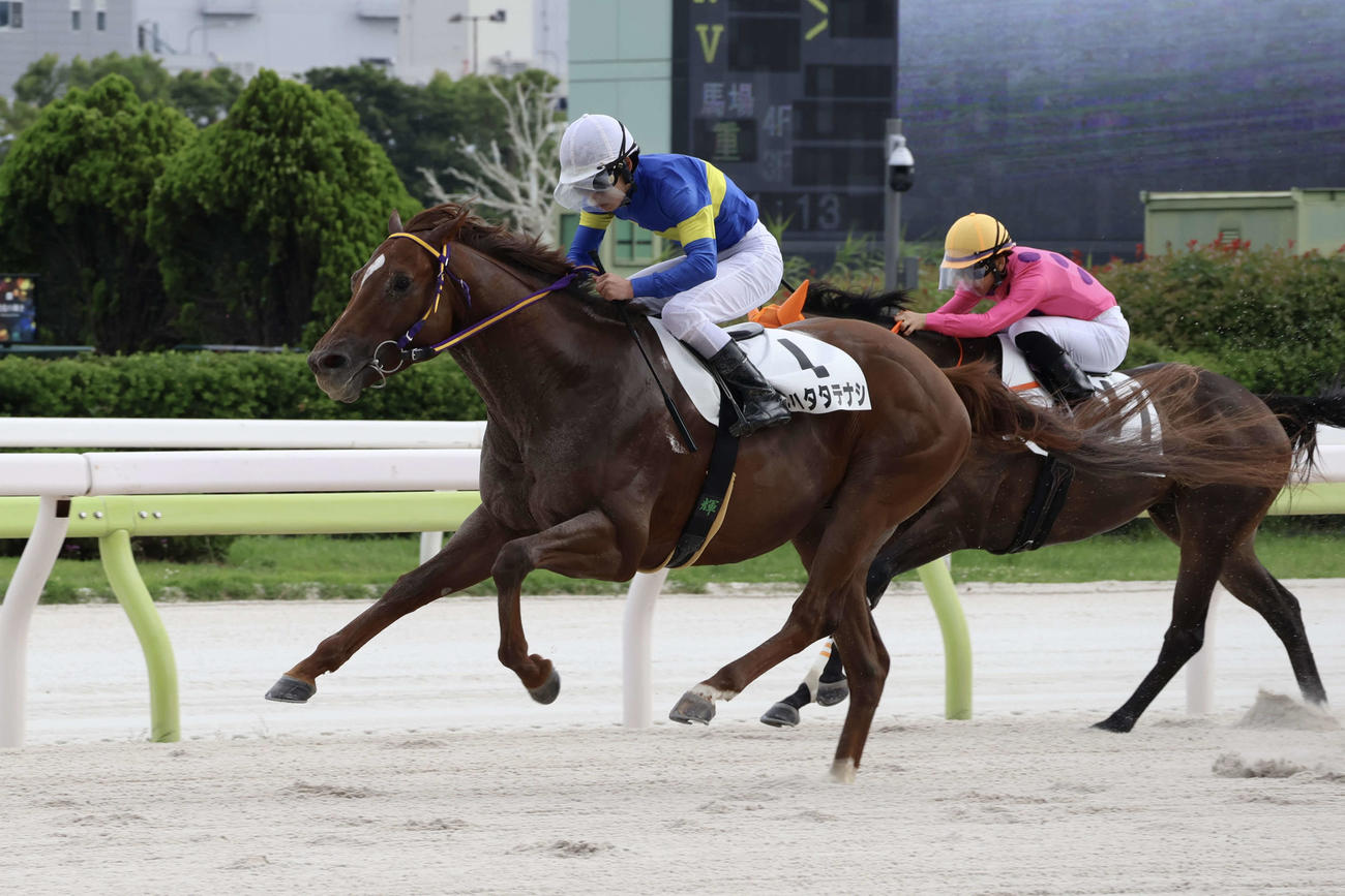 大井2Rをミハタタテナシで制した瀬川将輝騎手は地方競馬通算100勝を達成