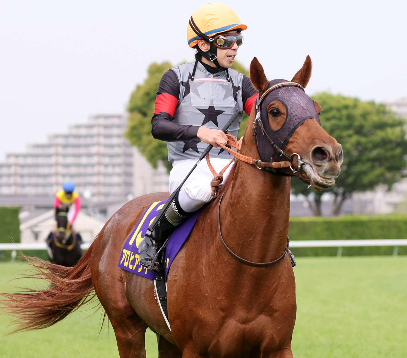 パリ大賞回避のアロヒアリイは仏G2ギヨームドルナノ賞へ、田中博師