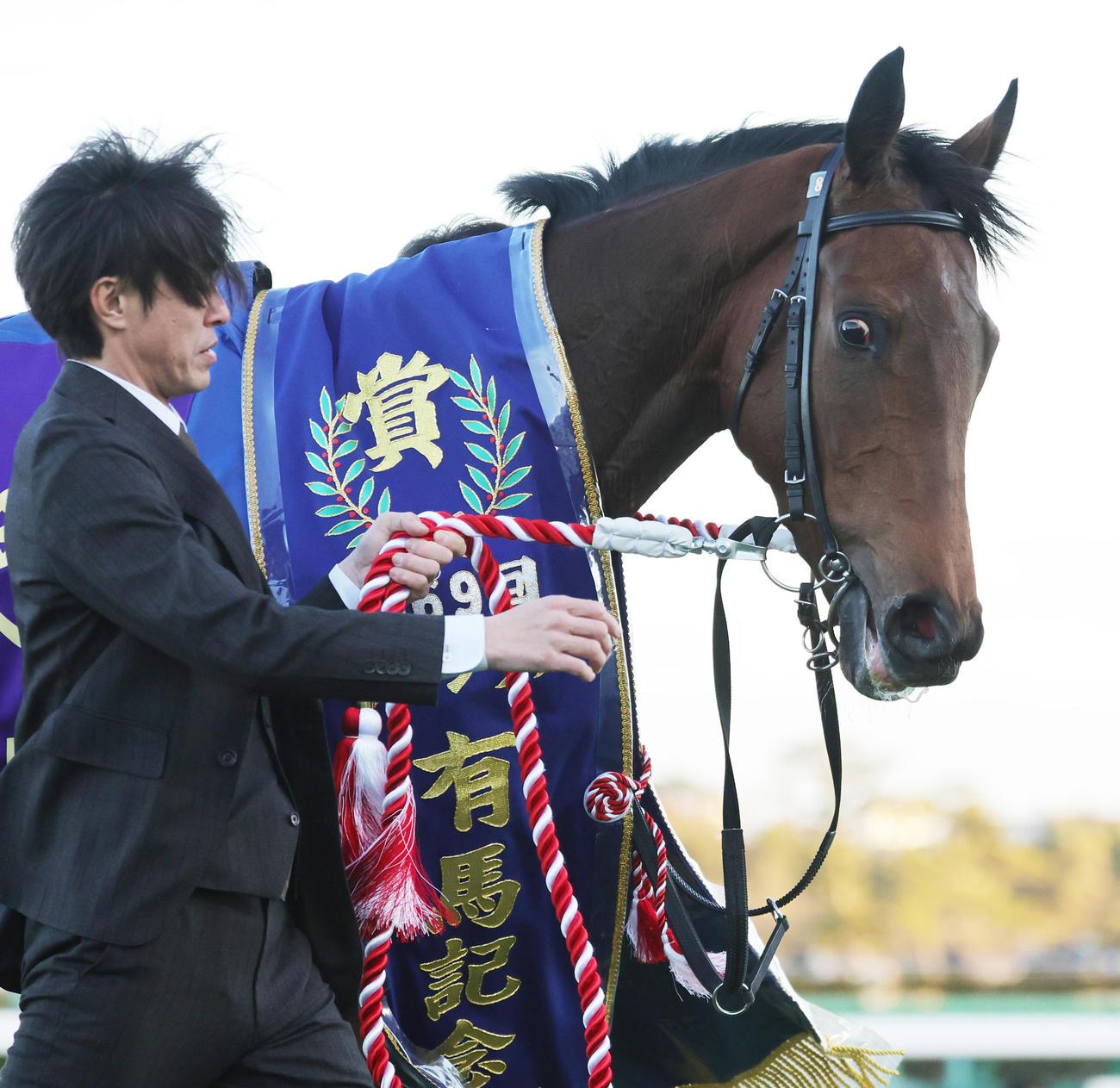 第69回有馬記念を制したレガレイラ（2024年12月撮影）