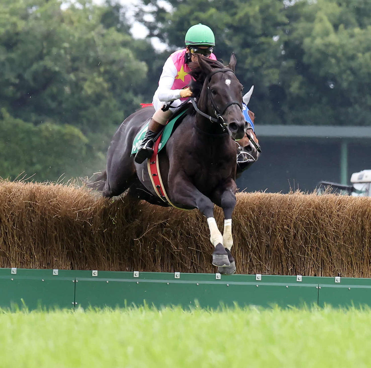 東京JSを制したジューンベロシティと高田騎手（撮影・丹羽敏通）