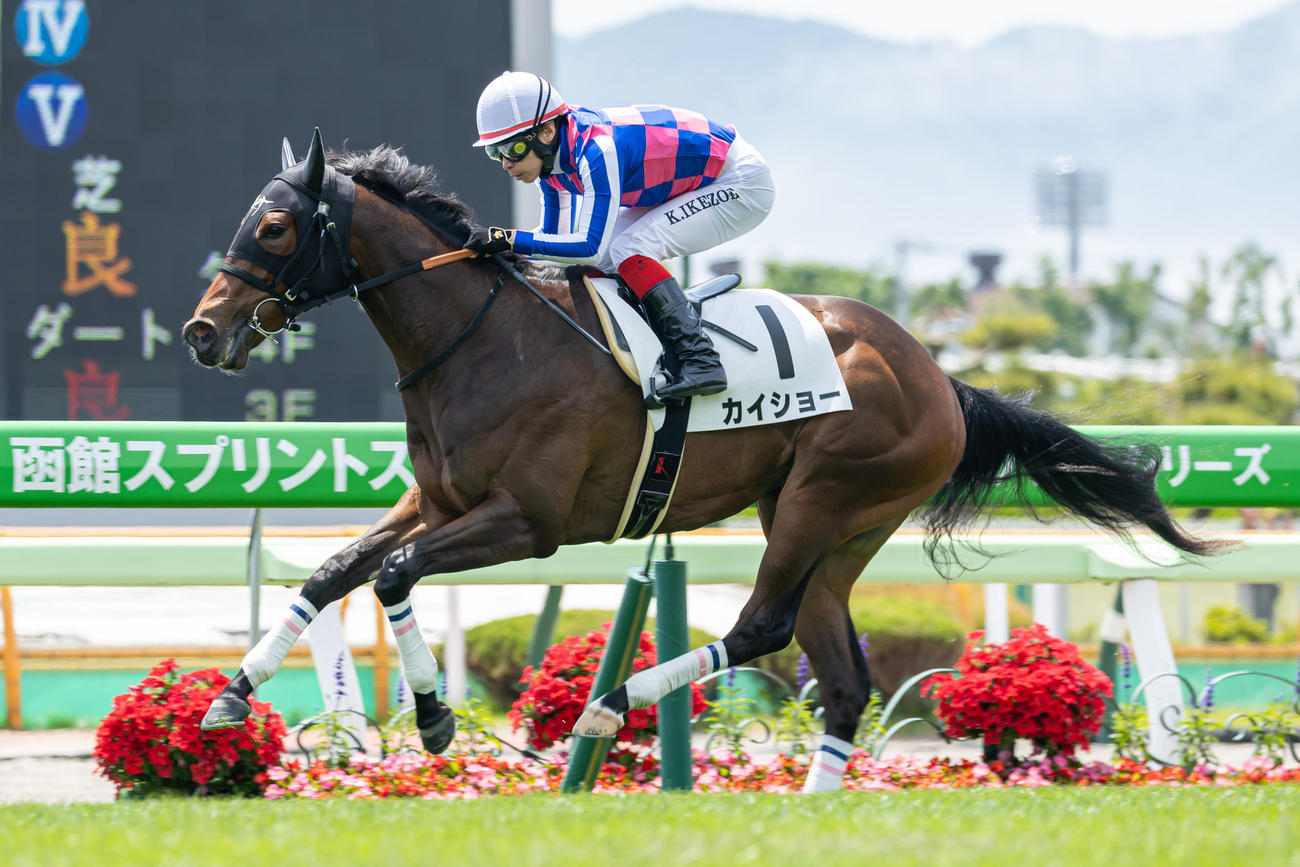 函館5R、デビュー戦をレコードタイムで制したカイショーと池添騎手（撮影・村野早祐）