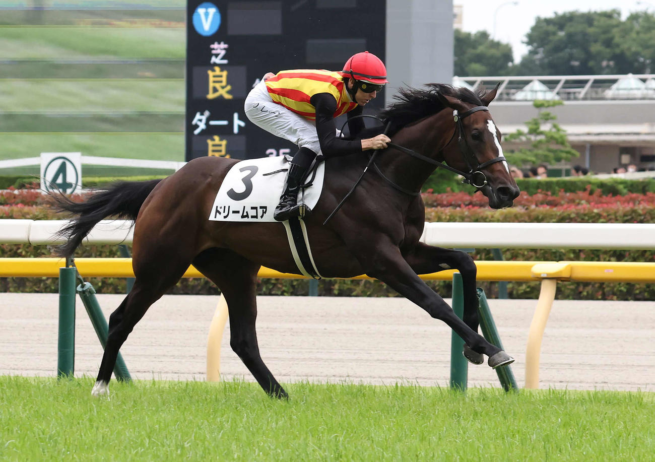 東京5R新馬戦を制したドリームコアとレーン騎手（撮影・丹羽敏通）