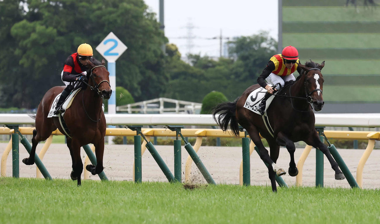 東京5R新馬戦を制したドリームコアとレーン騎手（右）（撮影・丹羽敏通）