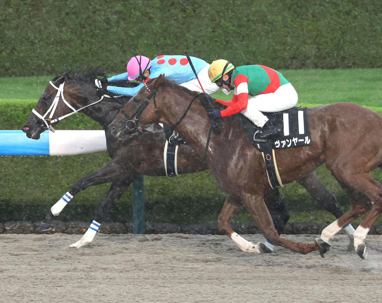 無傷の5連勝で三宮Sを制したダブルハートボンド（奥）（撮影・白石智彦）