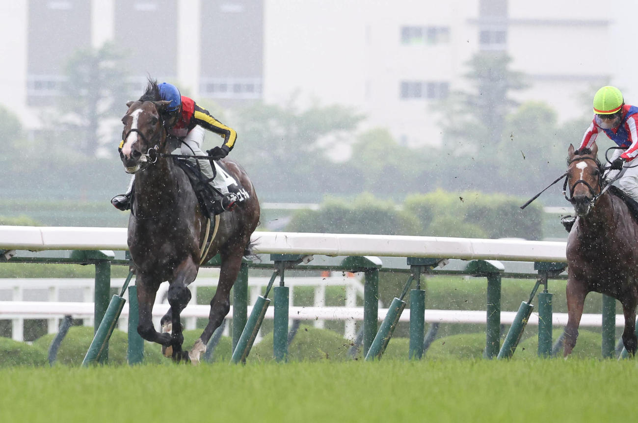 直線抜け出して三田特別を快勝したゲルチュタール（左）（撮影・白石智彦）