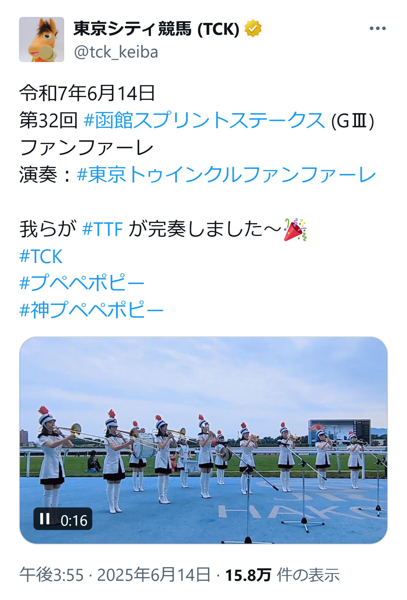 「神プペペポピー」函館SSで完奏したTTF（東京シティ競馬のXから）
