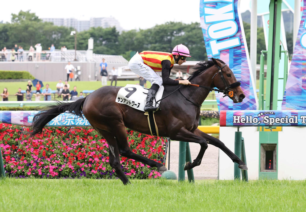東京6R、2歳新馬戦を制したサンアントワーヌとレーン騎手（撮影・丹羽敏通）